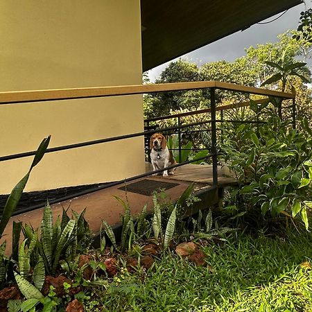 Ferienwohnung Modern Loft Inside A Beautiful Farm General Viejo Exterior foto
