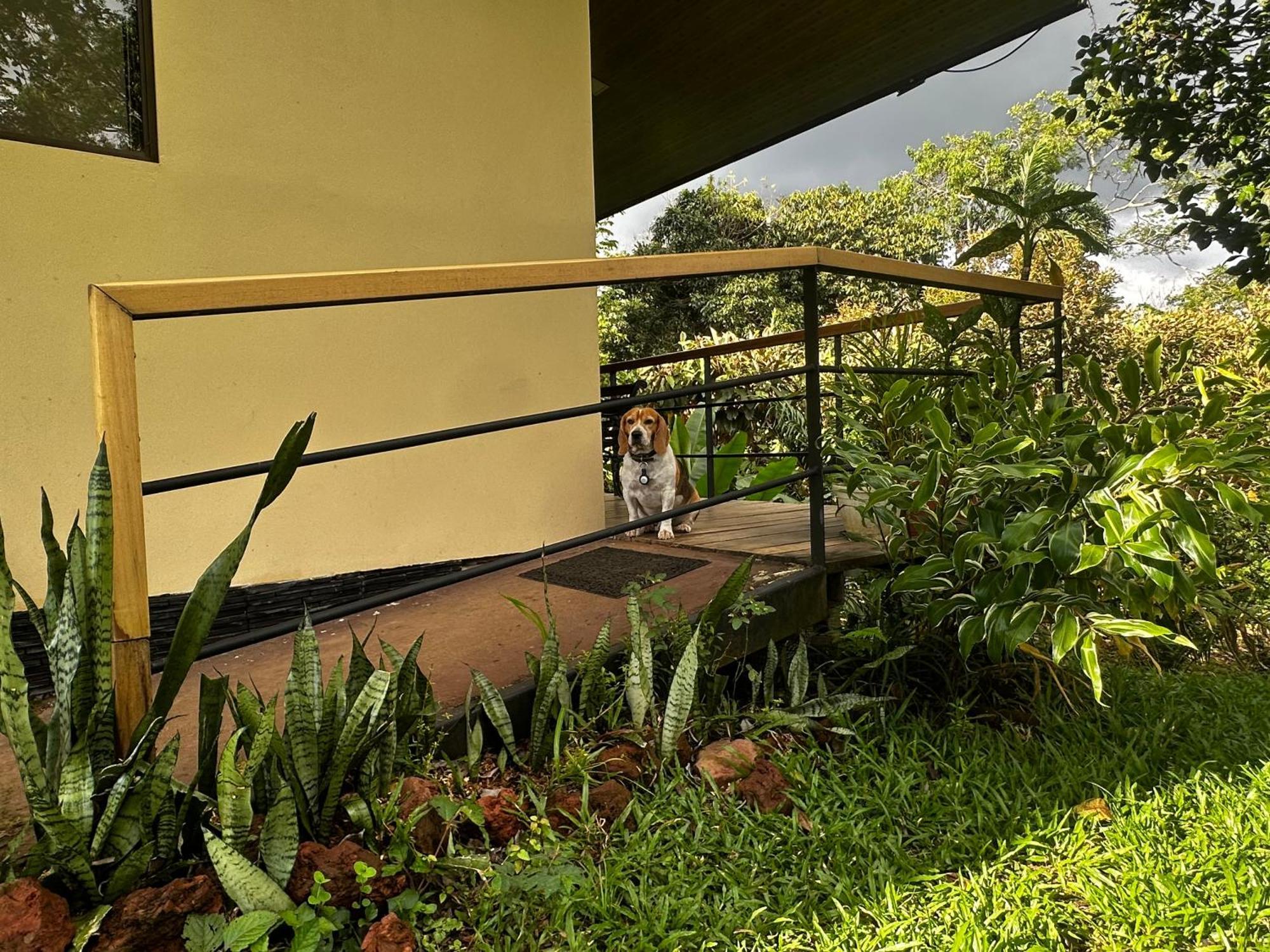 Ferienwohnung Modern Loft Inside A Beautiful Farm General Viejo Exterior foto