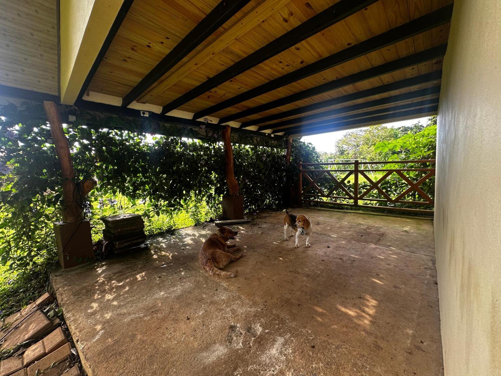 Ferienwohnung Modern Loft Inside A Beautiful Farm General Viejo Exterior foto
